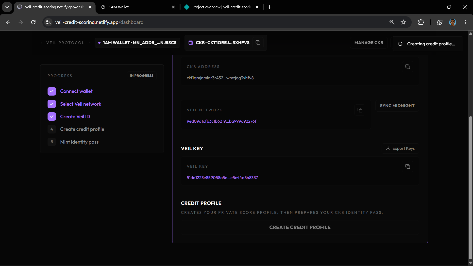 Dashboard showing creating credit profile in progress